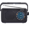 Radio Blaupunkt PR9BK