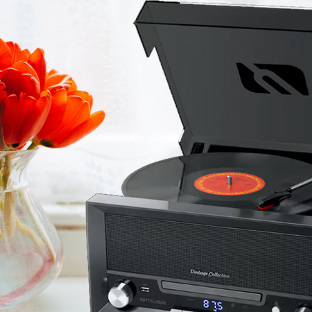Gramofon Stereo Muse MT-110 DS