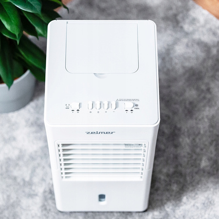 Klimator Zelmer ZCL6030