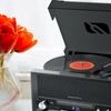 Gramofon Stereo Muse MT-110 DS