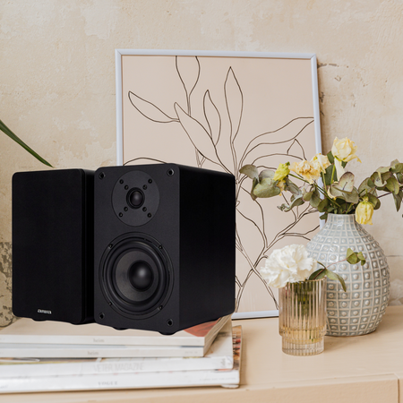 Głośniki Hi-Fi Aiwa SP-A100