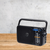 Radio Panasonic RF-2400DEG-K