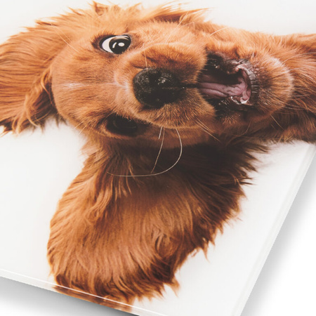 Waga łazienkowa Zelmer ZBS1010 Pies