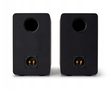 Głośniki Hi-Fi Aiwa SP-A100